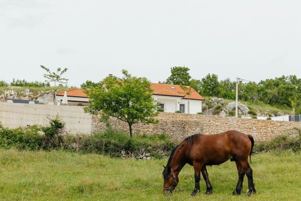 Villa Lozo, Prolozac Gornji Gornji Prolozac Exteriér fotografie