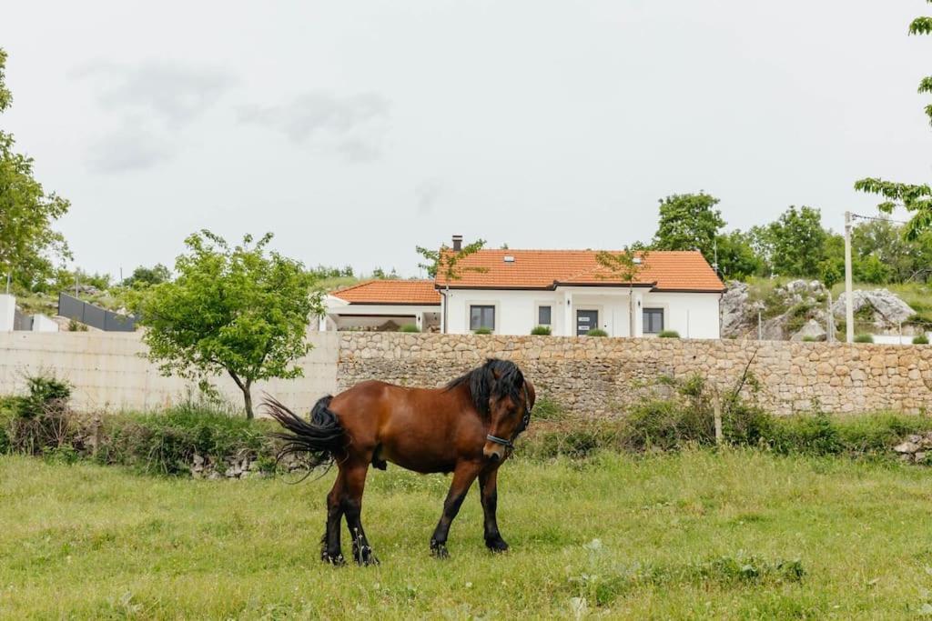 Villa Lozo, Prolozac Gornji Gornji Prolozac Exteriér fotografie